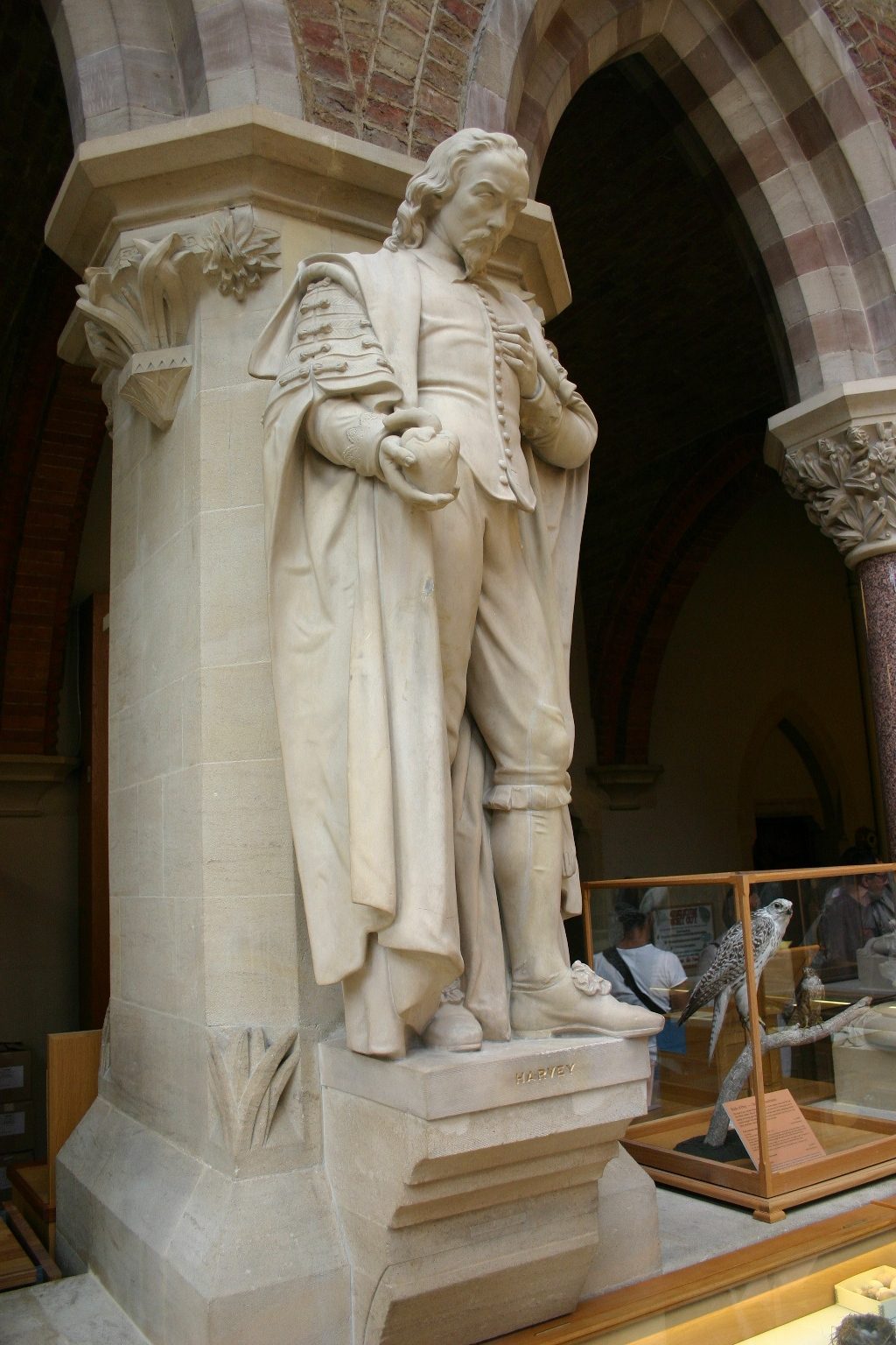 William Harvey's statue, Oxford University Museum of Natural History, Oxford, UK (2).JPG